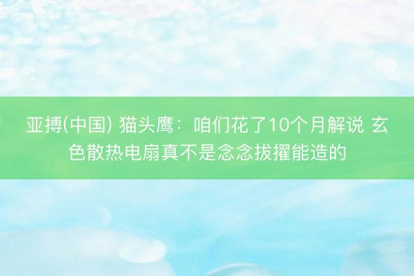 亚搏(中国) 猫头鹰：咱们花了10个月解说 玄色散热电扇真不是念念拔擢能造的