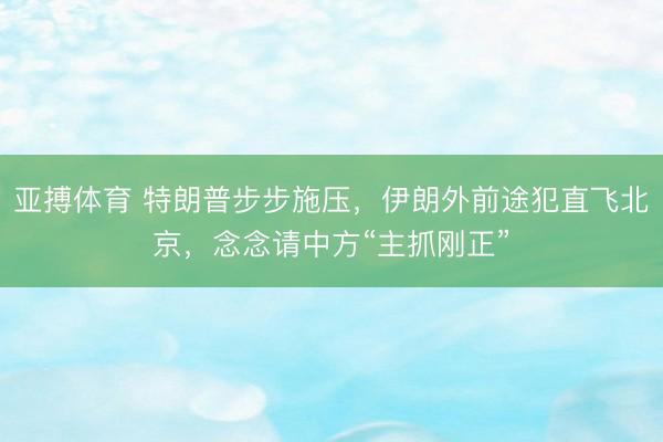 亚搏体育 特朗普步步施压，伊朗外前途犯直飞北京，念念请中方“主抓刚正”