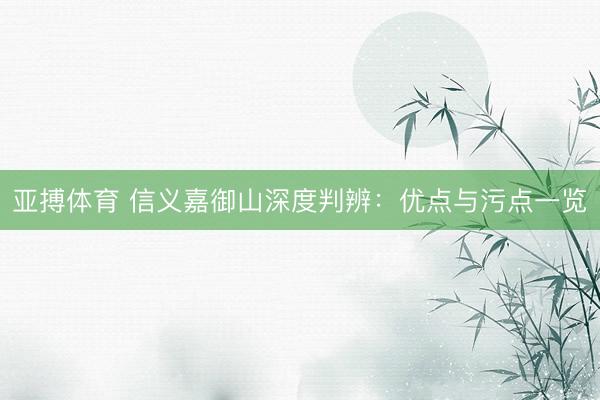 亚搏体育 信义嘉御山深度判辨:优点与污点一览