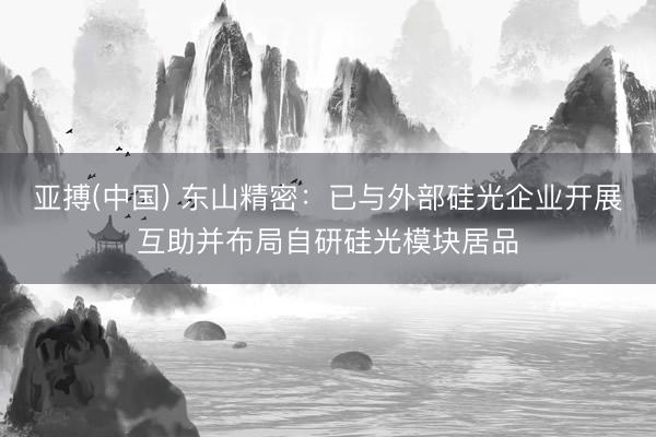 亚搏(中国) 东山精密：已与外部硅光企业开展互助并布局自研硅光模块居品