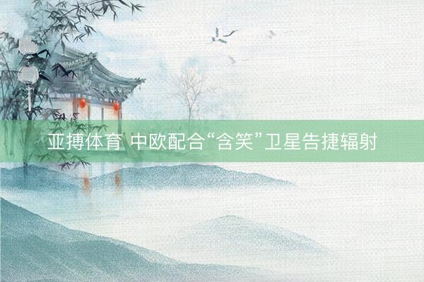 亚搏体育 中欧配合“含笑”卫星告捷辐射
