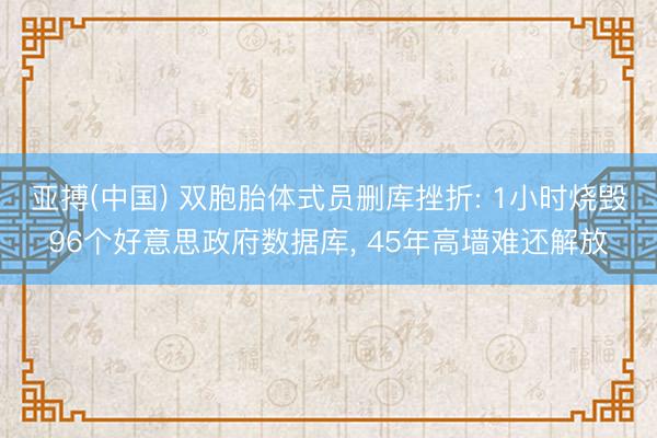 亚搏(中国) 双胞胎体式员删库挫折: 1小时烧毁96个好意思政府数据库， 45年高墙难还解放