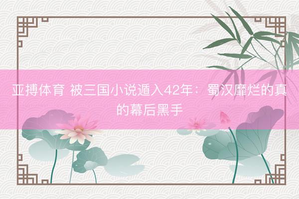 亚搏体育 被三国小说遁入42年：蜀汉靡烂的真的幕后黑手