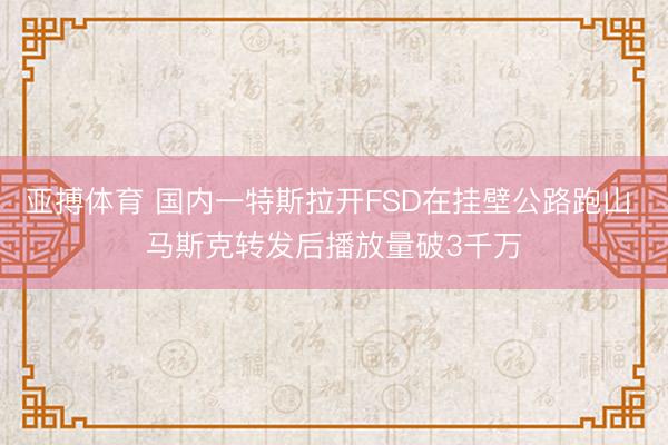 亚搏体育 国内一特斯拉开FSD在挂壁公路跑山 马斯克转发后播放量破3千万