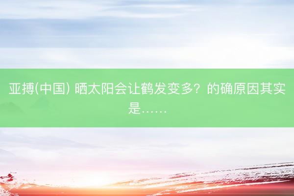 亚搏(中国) 晒太阳会让鹤发变多？的确原因其实是……
