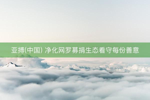 亚搏(中国) 净化网罗募捐生态看守每份善意